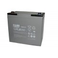 FIAMM 12FLB200